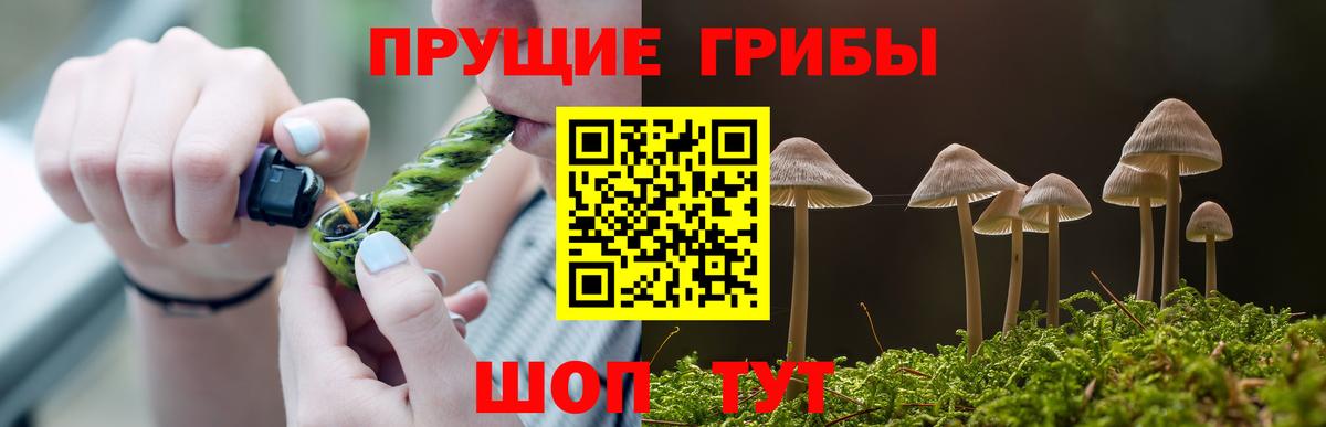 Галлюциногенные грибы Psilocybine cubensis  Псилоцибиновые грибы прущие грибы  Вход с VPN  Заволжье 